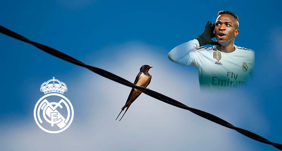 Vinícius como muestra