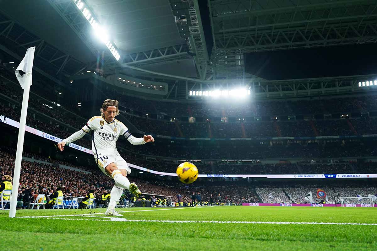 El cisne y el cuervo