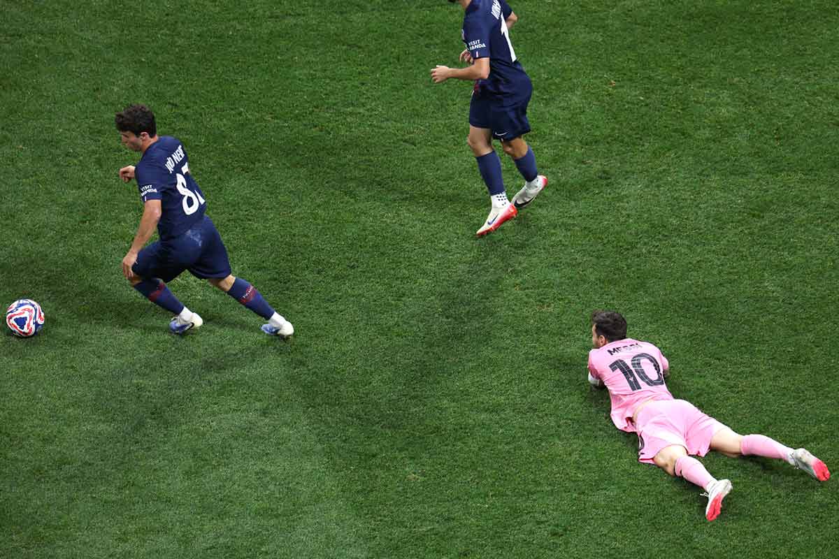Corderos contra pajaritos