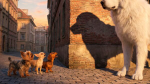 Perro ladrador, poco mordedor